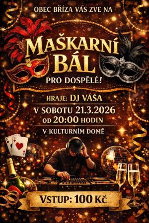 Maškarní dospělí